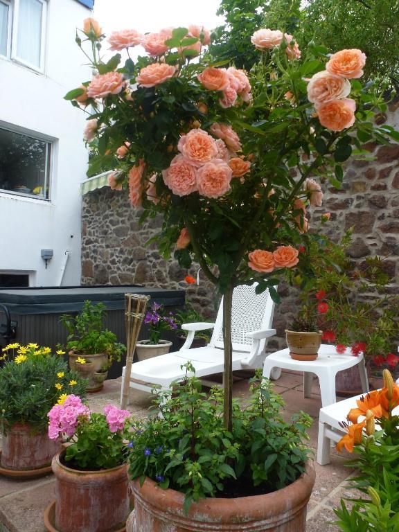 Bayview Guest House Saint Helier Jersey エクステリア 写真