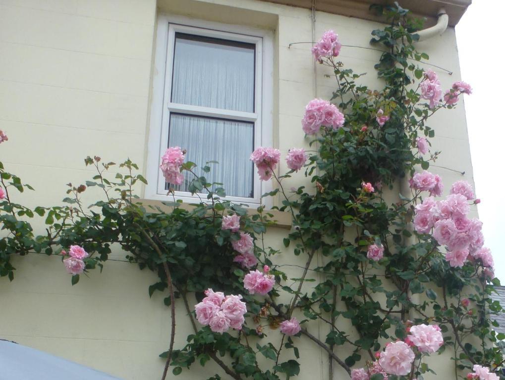 Bayview Guest House Saint Helier Jersey エクステリア 写真